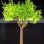 Waterproof ginkgo leaf artificial led light tree
