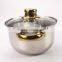 12pcs stainless steel cookware set with golden handles and glass lid