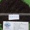 vilaconicexportATgmailcom BLACK PEPPER