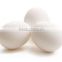 50 gms chicken eggs bulk exporter