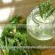 Cucumber oil