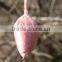 PVA water soluble Bags for popular products