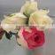 Natural Fresh cut rose flowers fresh cut flowers with top quality