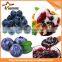 Best sale machine for making jam jam tube machine jam packaging machine