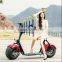 2016 newly fashion popular fat tyre citycoco electric scooter