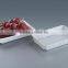 rectangle disposable plastic fruit tray, food packing tray