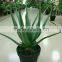 SJ30048946 Plastic asparagus plant/ artificial cactus plant for landscaping