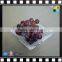 2017 Acrylic food tray fruit tray plastic food tray made in China