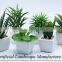 artificial green mini plants for office decoration