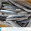 Frozen Fish Frozen Mackerel