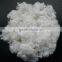 Pure virgin HCS-hollow conjugated silicon fiber