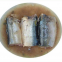 Factory Price Premium Qaulity Chinese Canned Fish Mackerel in Vegetables Oil
