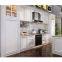 American Project High Gloss PVC Modular Kitchen Unit Cabinet Designs