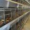 Djibouti Poultry Farm Battery Broiler Cage & Meat Chicken Cage & Chicken Coop in Chicken Shed