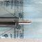 Genuine And Brand New Common Rail Injector EJBR04401D A6650170221 6650170221