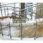 Foshan Factory Terrace Glass Balustrade Stainless Steel 304 316 Balcony Glass Railing Post Prices