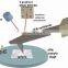 AFM contact mode afm atomic force microscopy