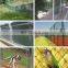 Factory price supply Galvanized /PVC Coated free design Residential chain link fence on sale