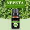 Nepeta Oil Pure Natural Plant Extract Essential Oils Pharmaceutical Raw Material Catnip Essential Oil
