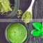 Bulk Wholesale Buy Food Supplement Pure Organic Instant Powder Green Tea Matcha