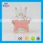 Hot sale star shape wedding decoration clear glass mini bottle