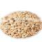 Highly Recommended Pumpkin Seeds Green Squash Seeds with Premium Quality