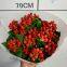 Fresh Cut Berry From China China Fresh Flower Supplier