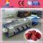 Date washer&dryer&sorter machine from red dates sorting process line                        
                                                Quality Choice