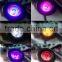 Sharpy and hot selling 4pcs 6in1 RGBWA+UV flower led light