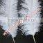 Natural Craft Feather Big White Ostrich Feather For Wedding And Party Decoration 60cm-65cm