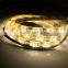 Fullbell 5050 smd waterproof led lights stage
