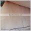 Linyi campnosperma Rengas face veneer factory direct supplier FSC face wood veneer chipper