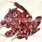 india dry red chilli