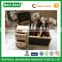 Office Wood Desk organizer with blackboard for stationery