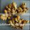 low price fresh ginger from China