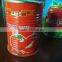 Supply OEM brand delicilous canned tomato paste 850g*12tins with high quality