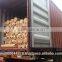 Galvanised weld mesh/ Galvanised Mesh/ Weld Mesh