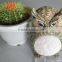 Waterproof outdoor owl solar lamp, LED garden lamp, Creative owl solar light Landscape lighting