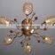 CE ceiling lamp light fixture for decoration indoor