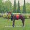 2015 's best-selling product horse plush toy' kid toy animal toys Musical toys