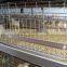 H frame layer chickne cages for sale