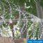 Concertina razor wires, Razor wire, BTO-22 razor barbed wire (High quality)