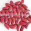 NEW CROP Dark red kidney beans