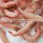 frozen red sand shrimp