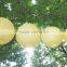 YIWU 8" 10" 12" 14" Round Paper Lanterns Lamp Shade Wedding Birthday Party Decoration