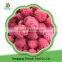 2016 new crop Frozen Raspberry with high quality and best price