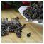 Chinese Dried Black Wood Ear