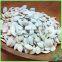 High Quality Pumpkin Seeds In Shell 2016 New Crop