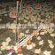 Whole Poultry Equipment for Broilers and Breeders