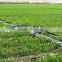 DAYU wheat irrigation drip tape diameter 16mm, 0.25mm Thickness, 500mm Spacing, 1.38/2.0/3.1L/h
